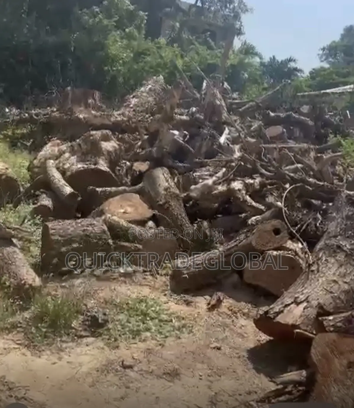 Hard Neem Firewood Logs Per Kia Ryno - Tema/Accra - Smoking Bakery