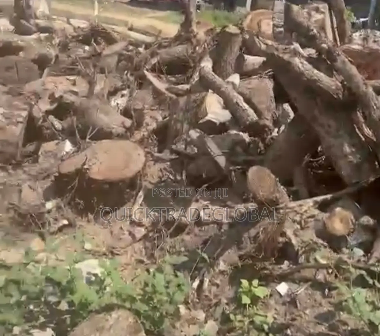 Hard Neem Firewood Logs Per Kia Ryno - Tema/Accra - Smoking Bakery