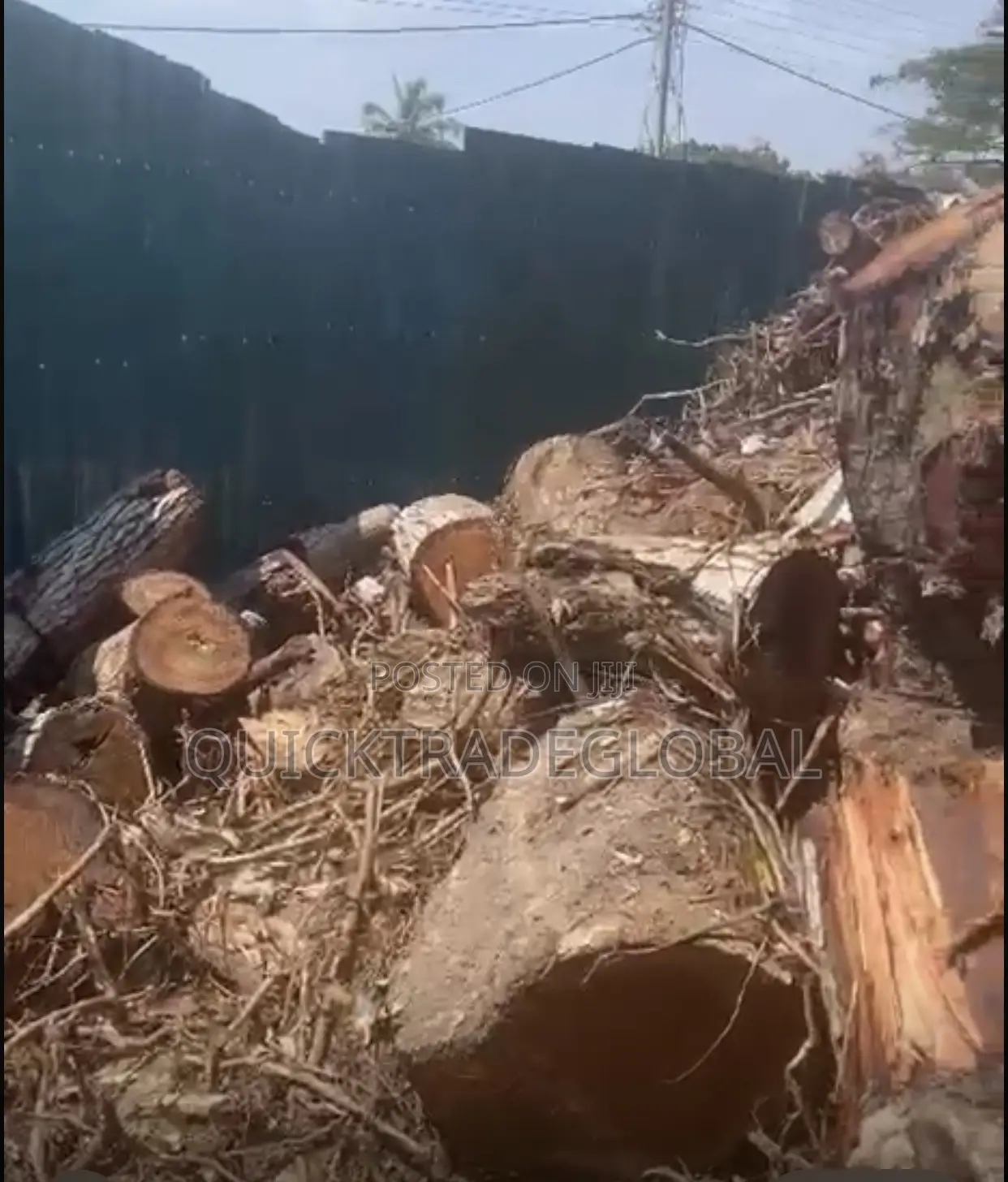 Hard Neem Firewood Logs Per Kia Ryno - Tema/Accra - Smoking Bakery