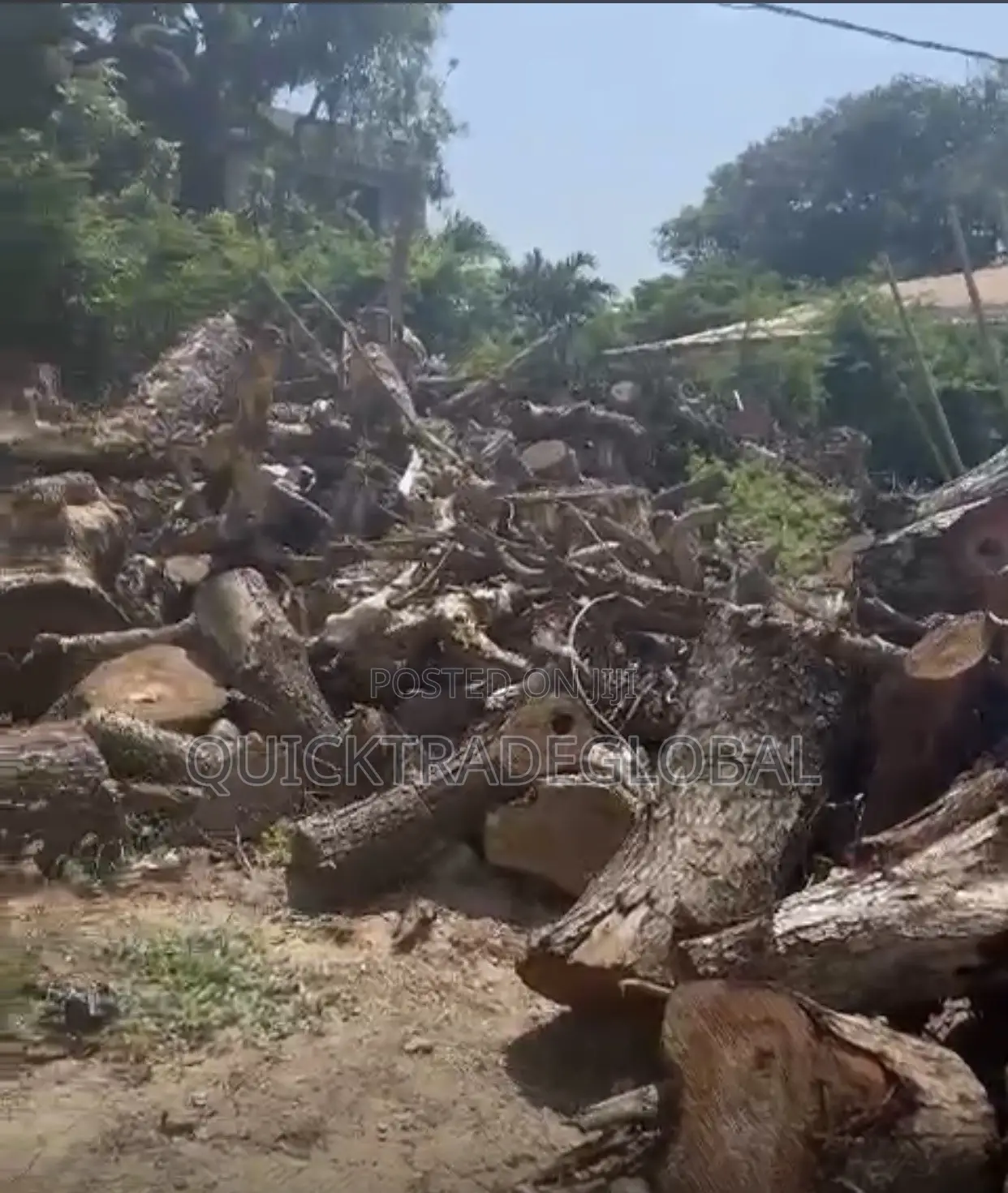 Hard Neem Firewood Logs Per Kia Ryno - Tema/Accra - Smoking Bakery