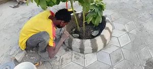 Pavement Blocks for Sale