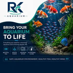 Aquarium Services