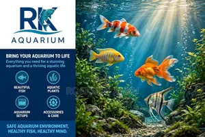 Aquarium Services