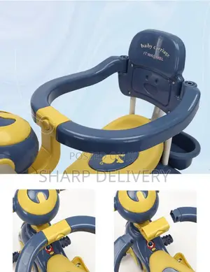 4 -in-1 Kids Tricycle With Adjustable Canopy