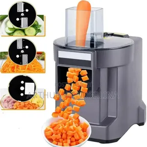 Haley Electric Commercial Food Processor