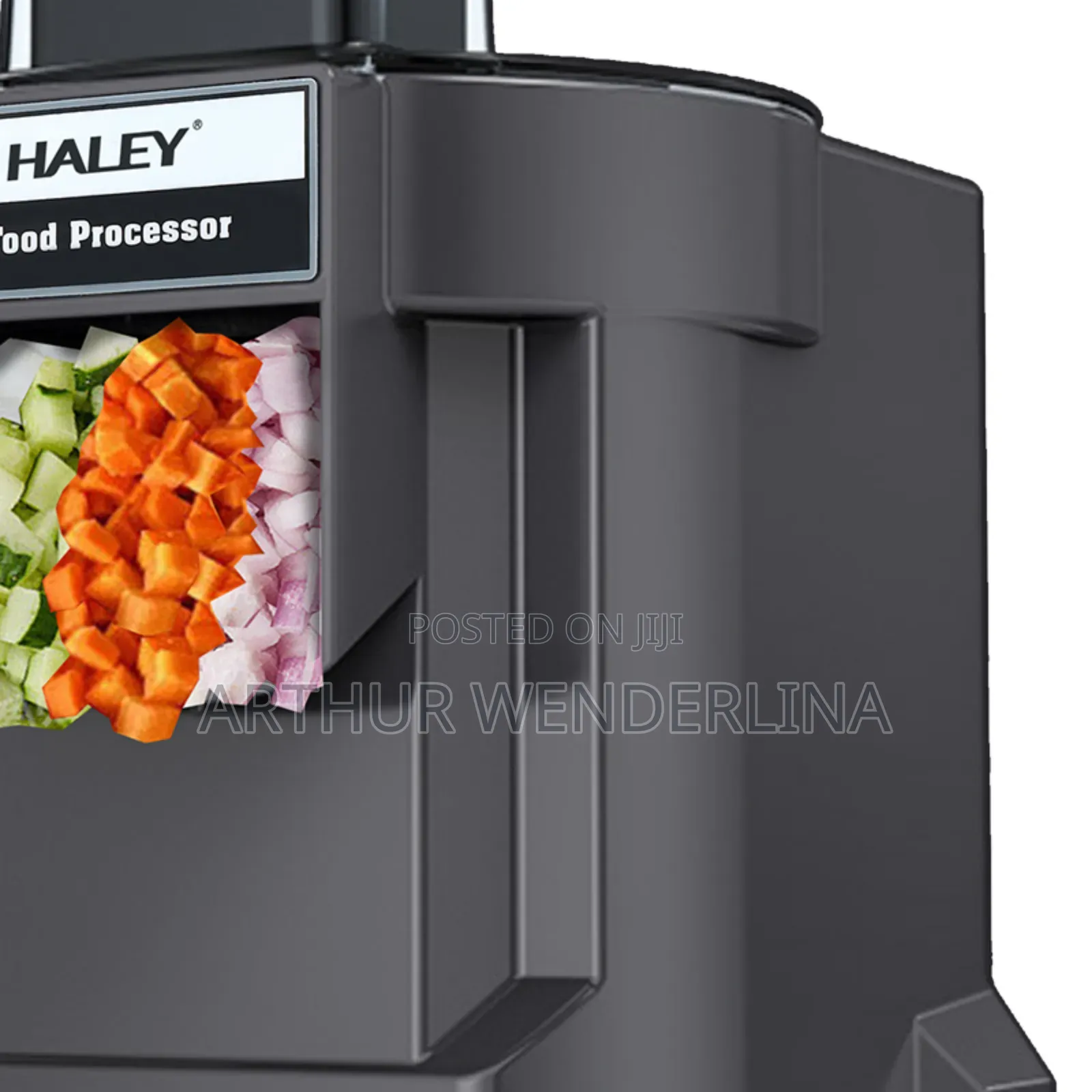 Haley Electric Commercial Food Processor