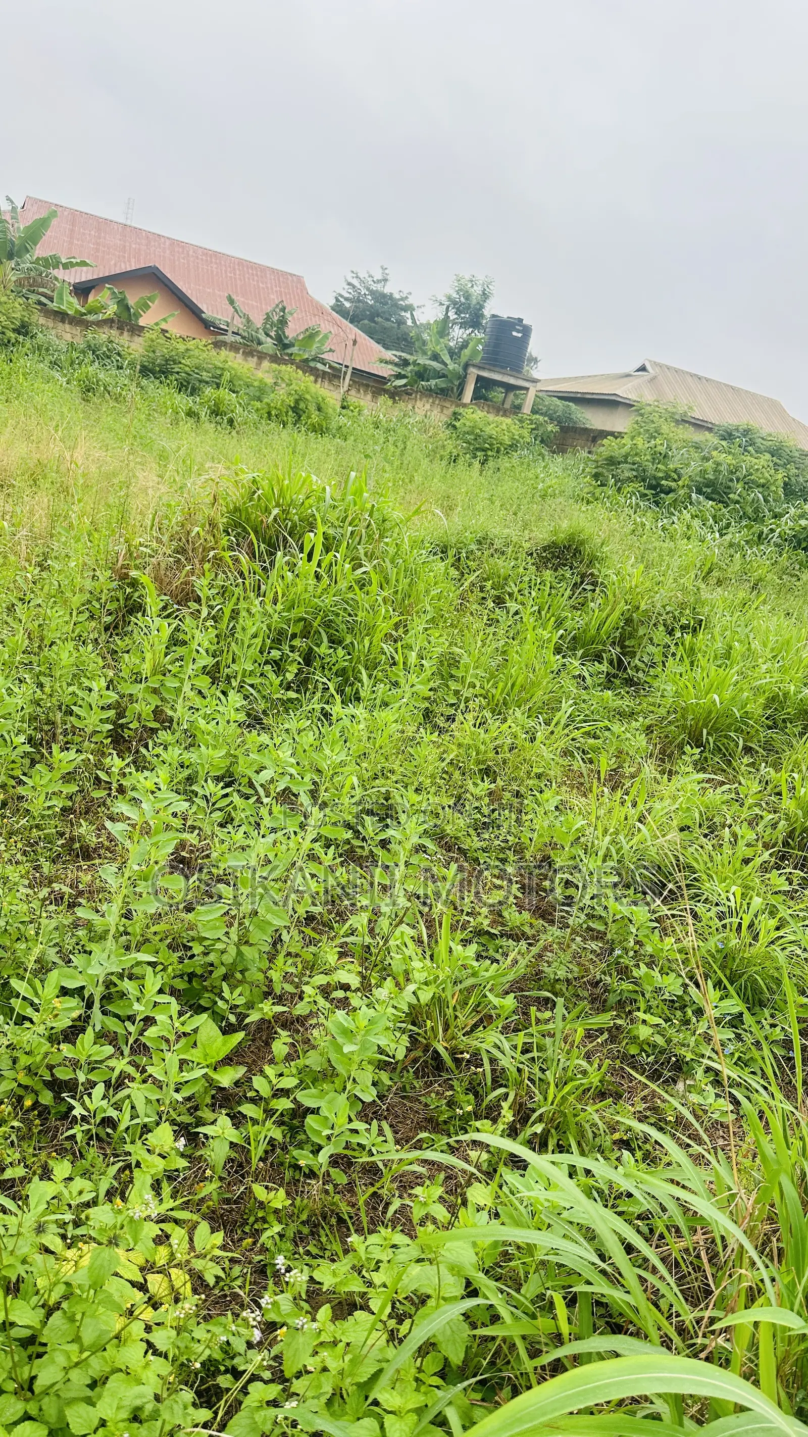 One Plot of Land
