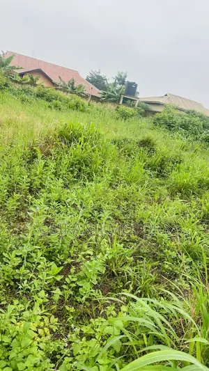 One Plot of Land