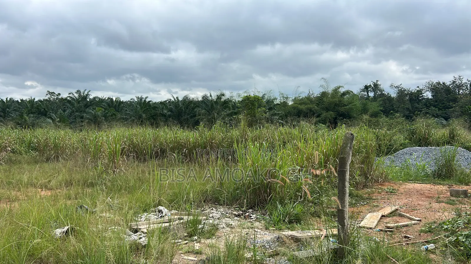 Plots of Land KOFORIDUA Nyamekrom