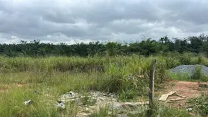 Plots of Land KOFORIDUA Nyamekrom