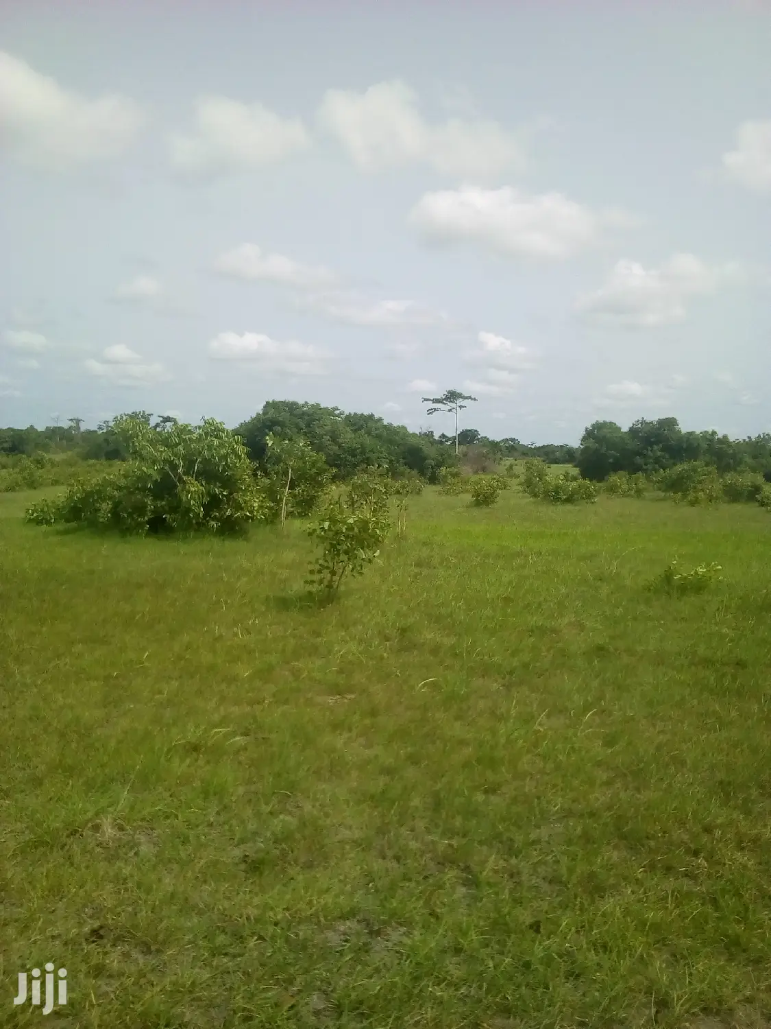 20.000 Acres of Farm Land for Sale