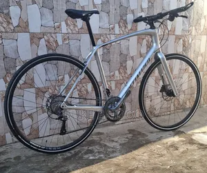 Specialised Srrus Full Carbon Hybrid Bike