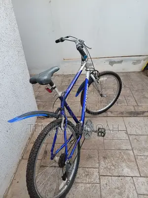 Mountain Bicycle