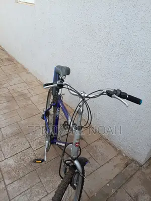 Mountain Bicycle