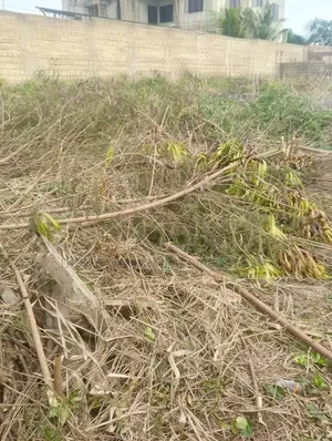 Titled 2 Plots at Parakou Estates, Dome
