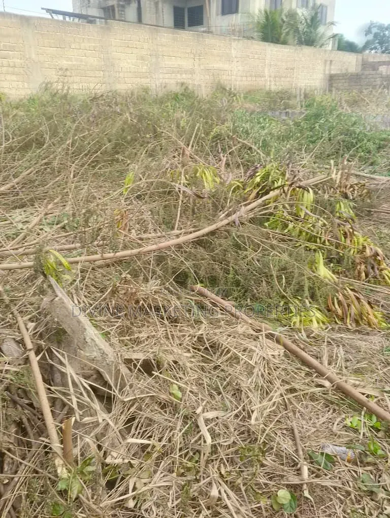 Titled 2 Plots at Parakou Estates, Dome