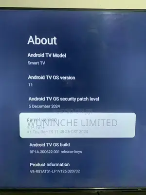 TCL 55 Inches Google Smart TV
