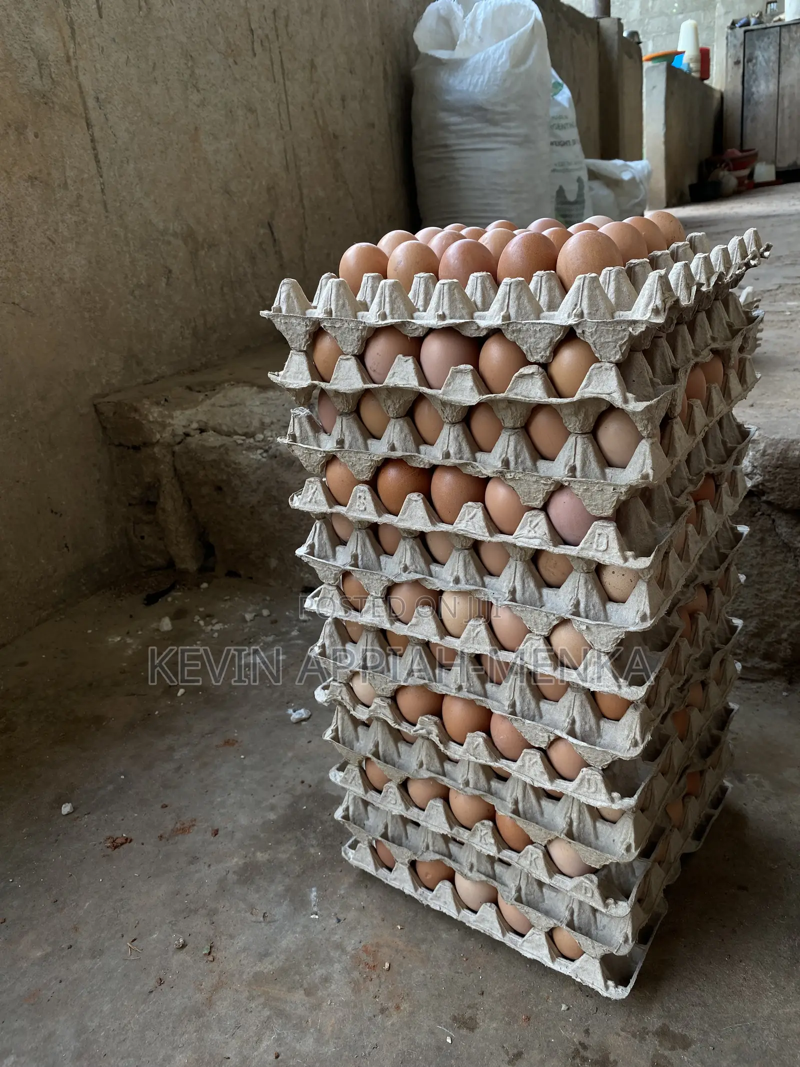 Direct Eggs From Farm