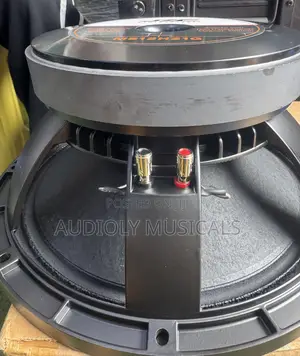 Jac Naked 12 Inches Single Magnet Mid Speaker