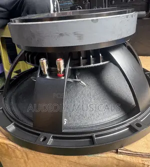 Jac Naked 12 Inches Single Magnet Mid Speaker