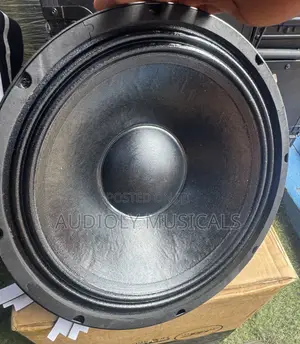 Jac Naked 12 Inches Single Magnet Mid Speaker