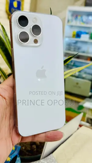 Apple iPhone 16 Pro Max 256 GB Silver