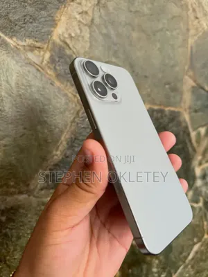 Apple iPhone 15 Pro Max 256 GB Silver