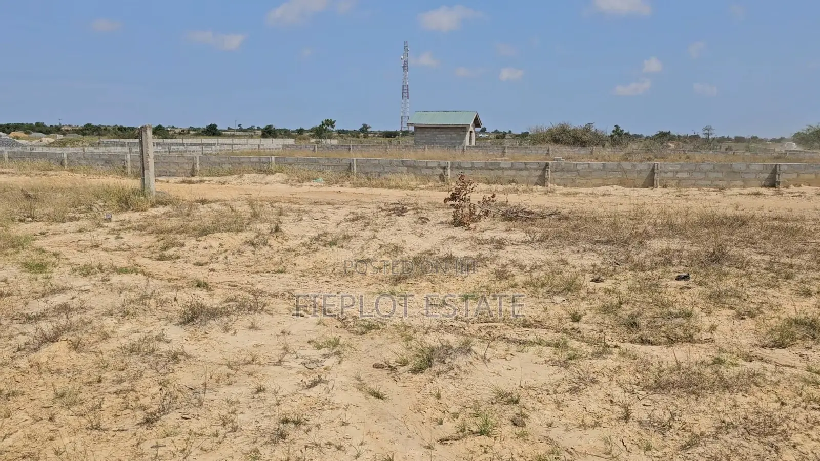 Own a Half Plot in the Growing Skyport City, Tsopoli