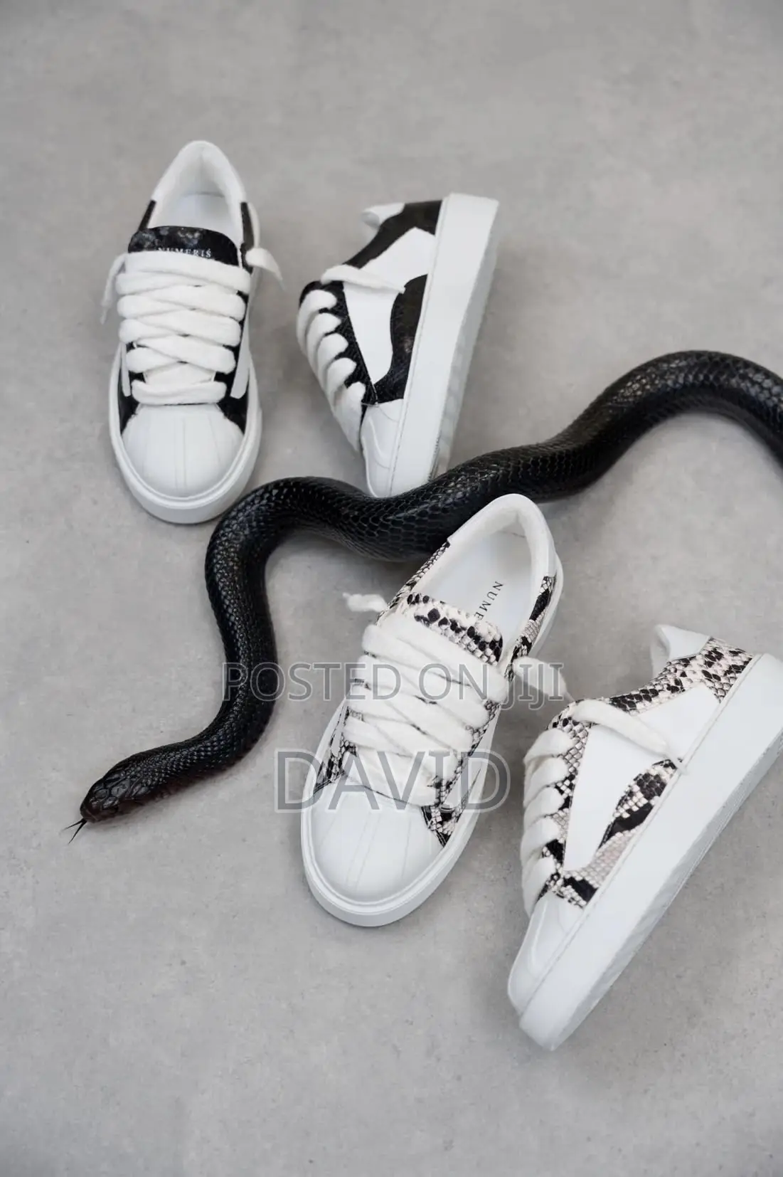 Numeris Eclipse Python White