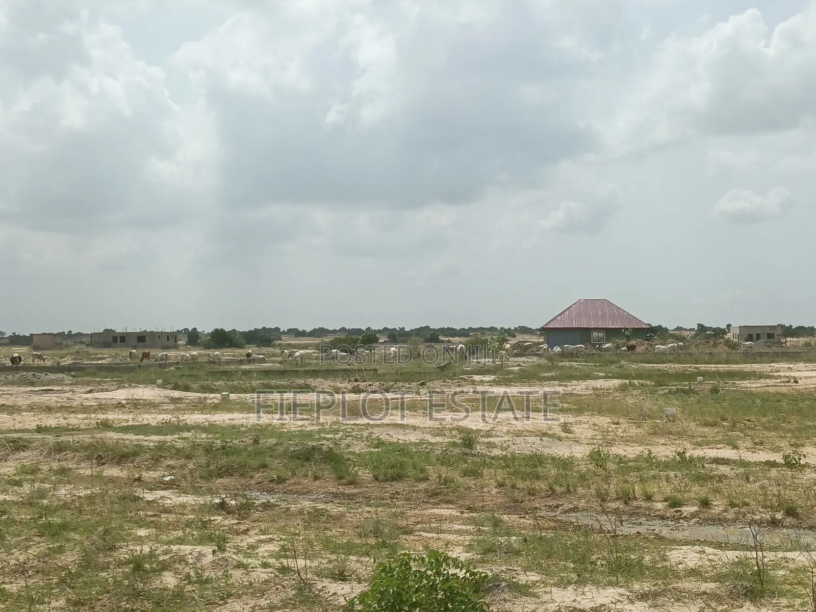 Secure a Half Plot in Tsopoli’s Skyport City Today