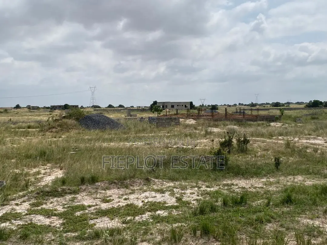 A Smart Investment Starts With This Half Plot at Skyport City