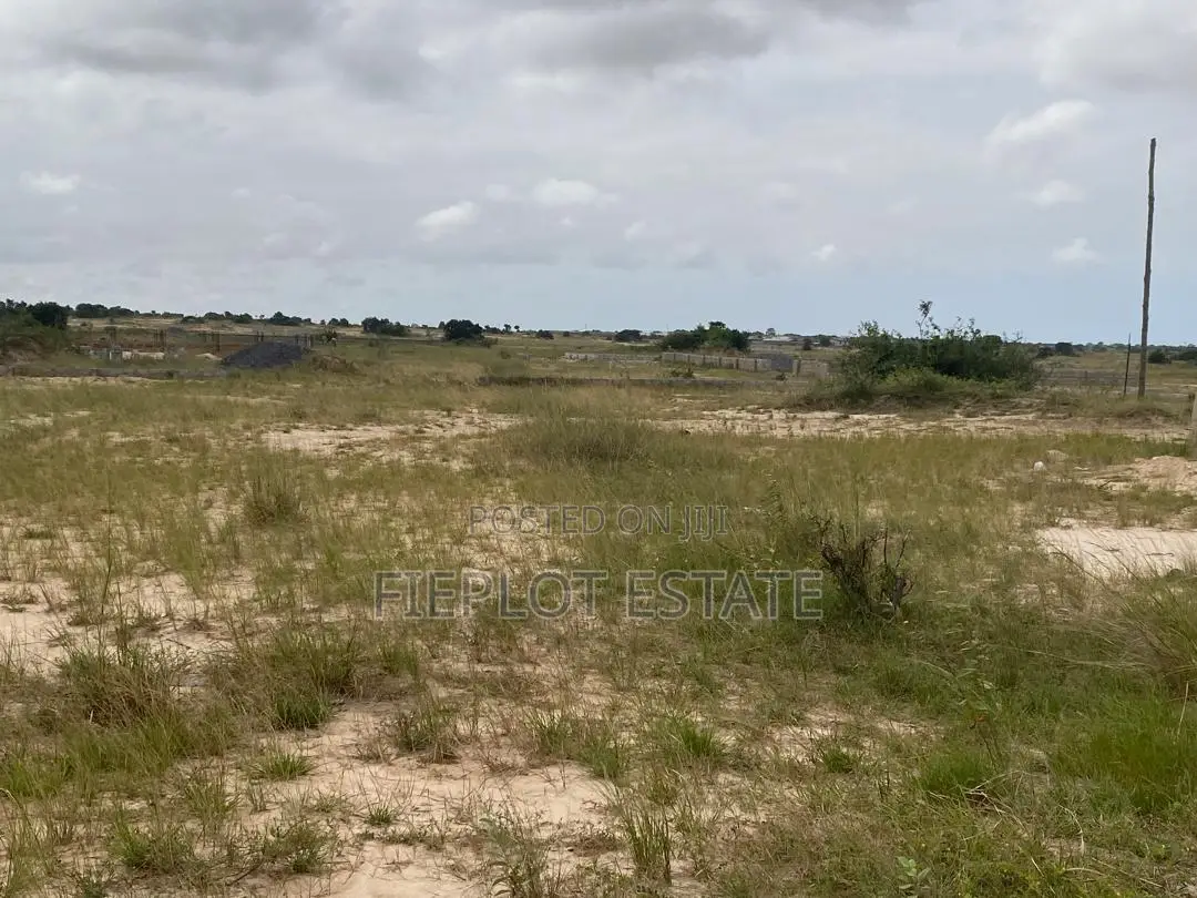 A Smart Investment Starts With This Half Plot at Skyport City