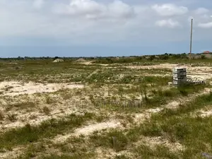 A Smart Investment Starts With This Half Plot at Skyport City