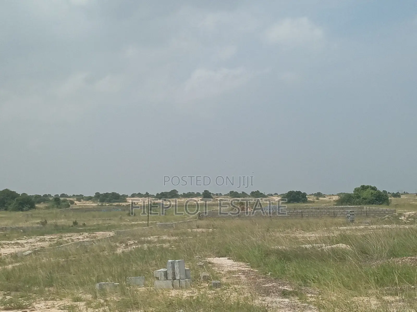 Build Your Future With a Half Plot at Skyport City, Tsopoli