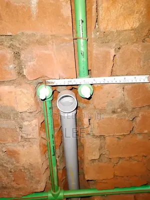 Professional Plumber