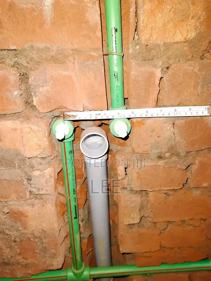 Professional Plumber