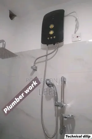Professional Plumber