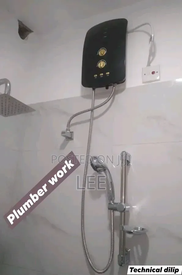 Professional Plumber