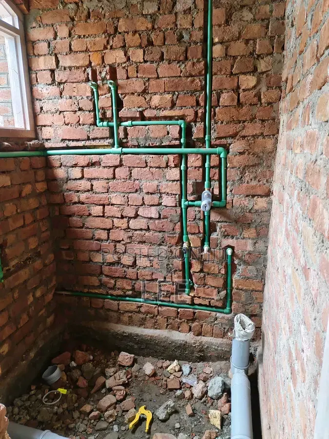 Professional Plumber