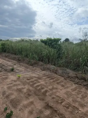 Full Plot Available in a Good Location