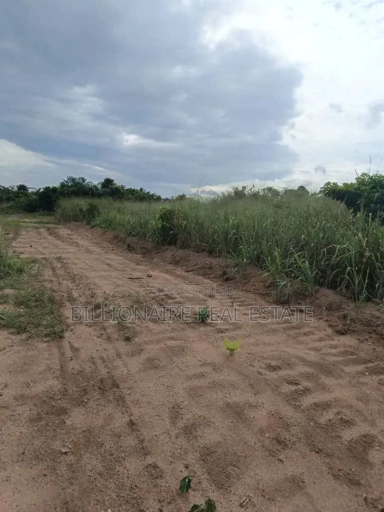 Full Plot Available in a Good Location
