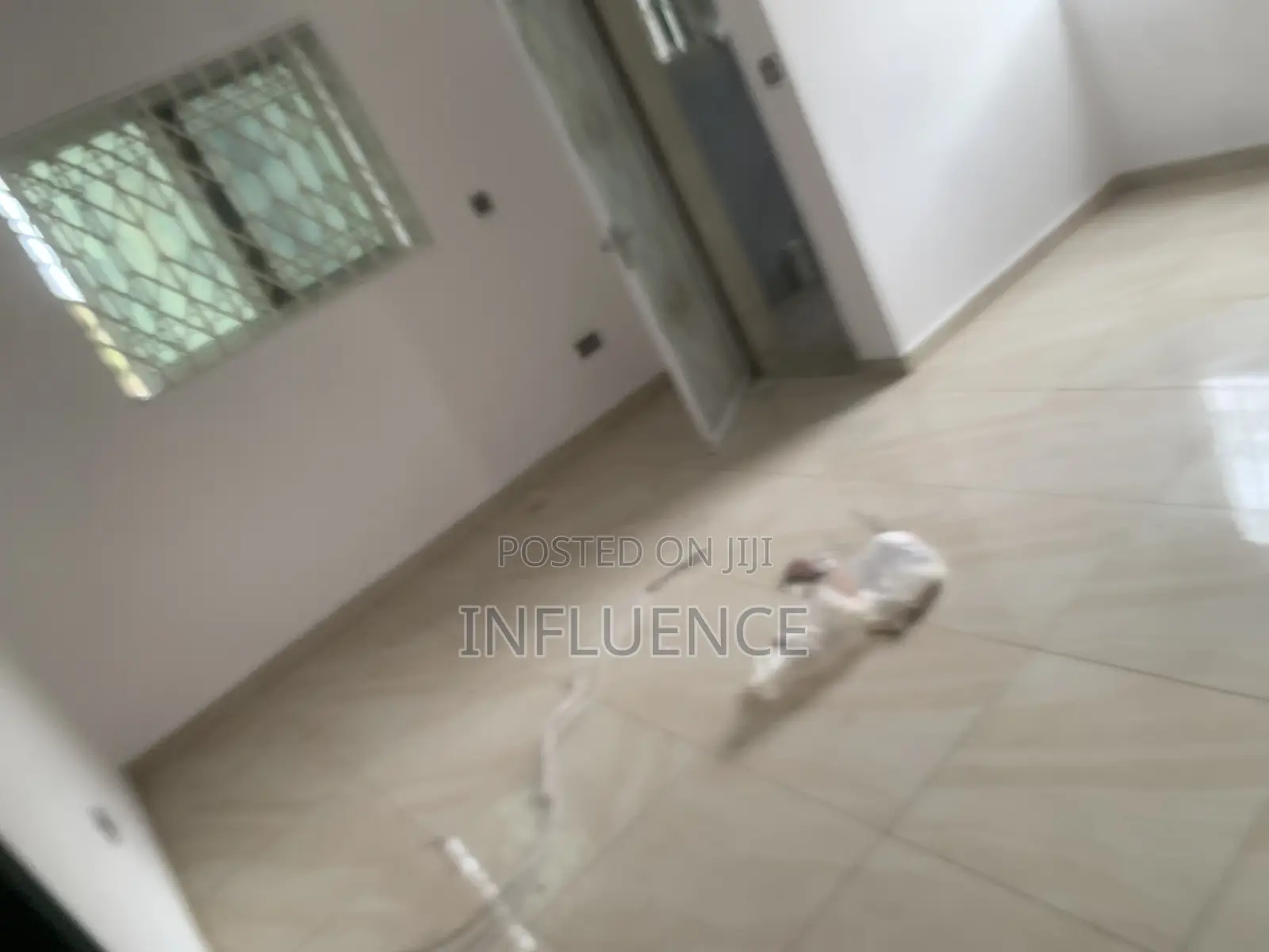 1bdrm Apartment in Adjirigano, East Legon for rent
