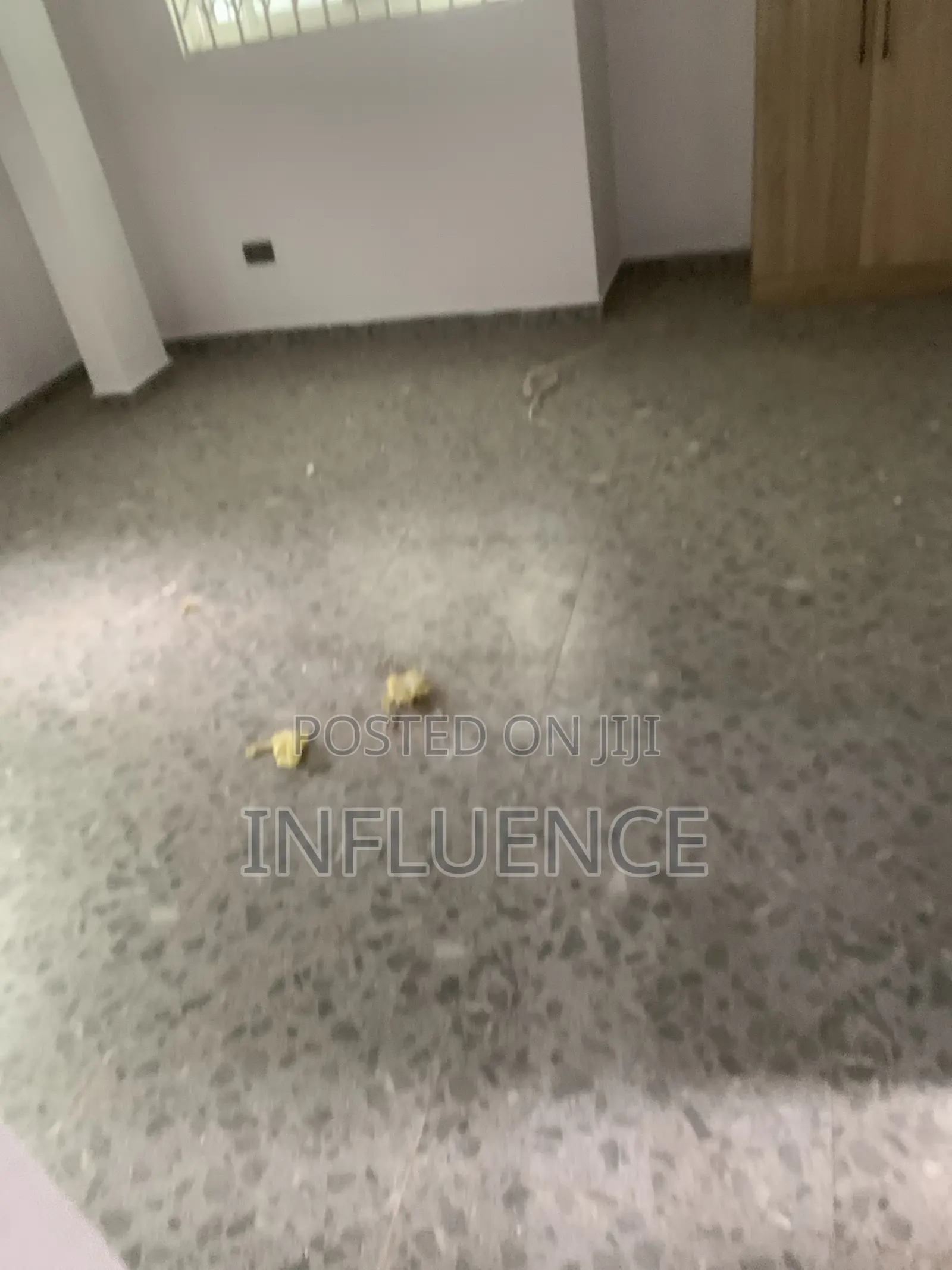 1bdrm Apartment in Adjirigano, East Legon for rent