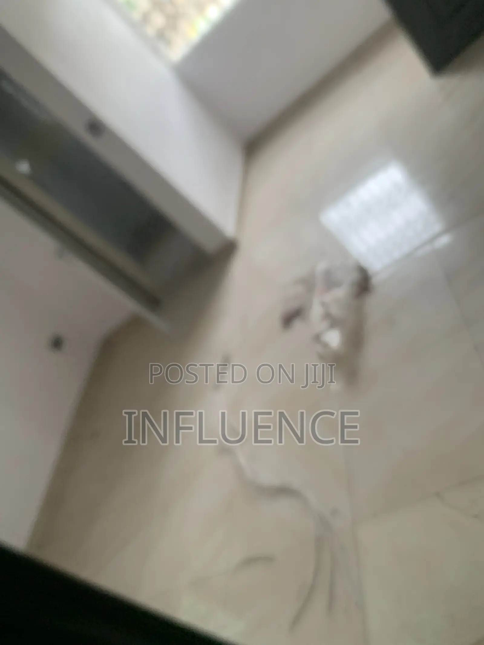 1bdrm Apartment in Adjirigano, East Legon for rent