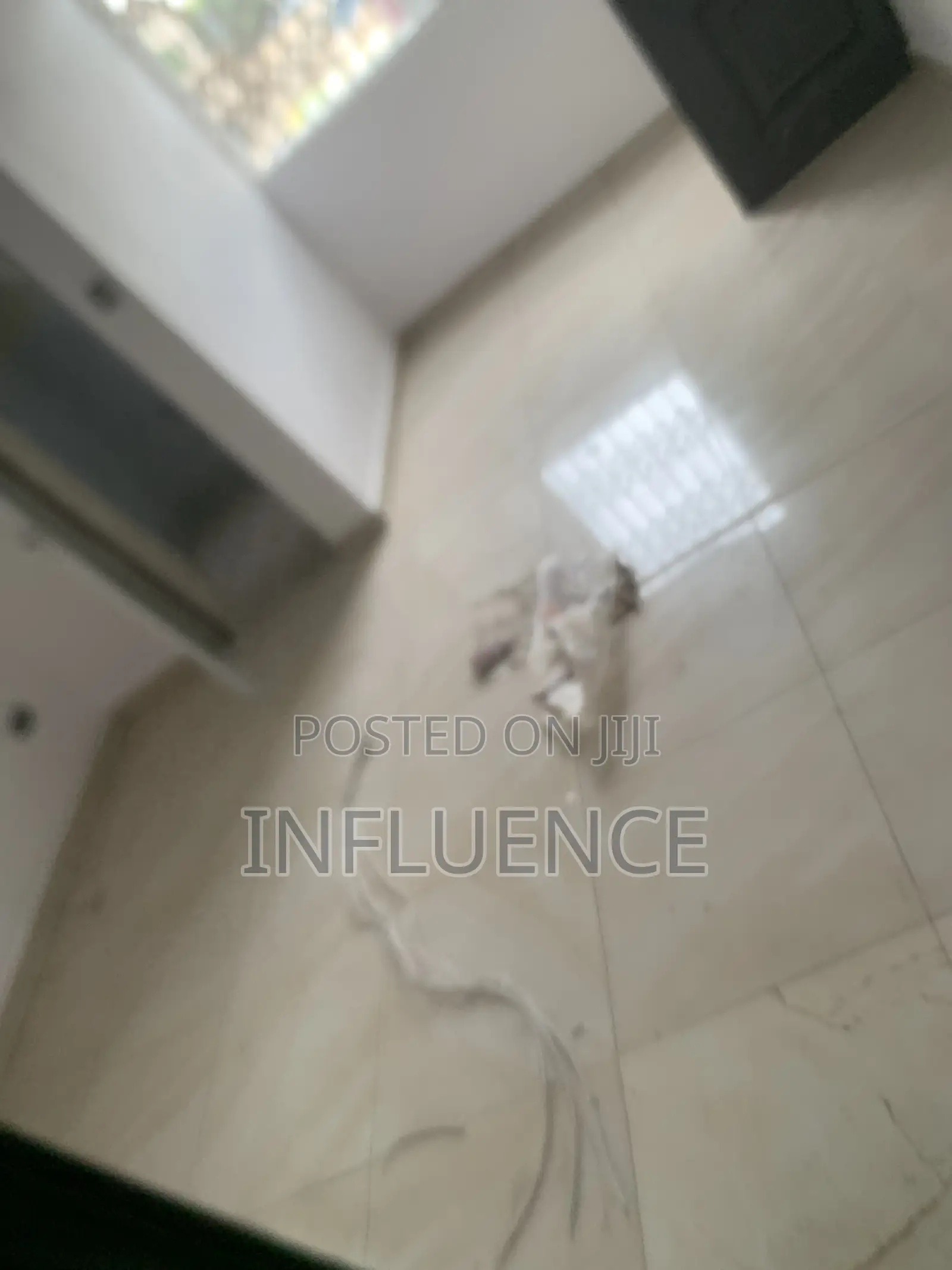 1bdrm Apartment in Adjirigano, East Legon for rent