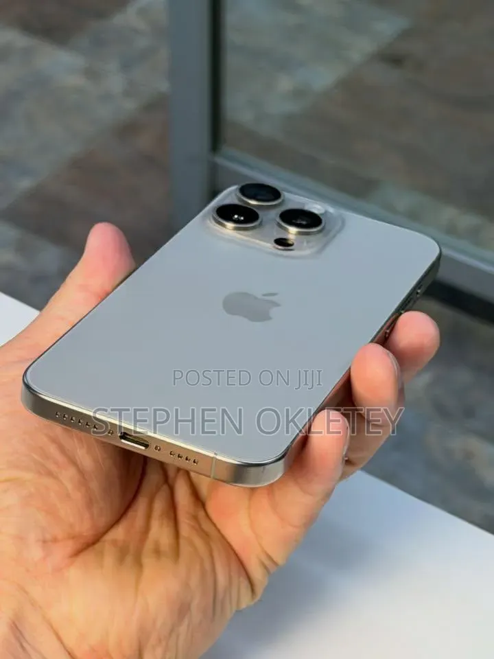 Apple iPhone 15 Pro Max 256 GB Silver