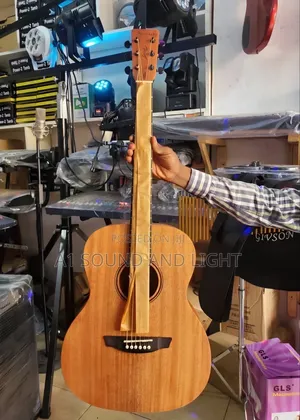 Strinberg Forest FS1A MGS Artistic Electroacoustic Guitar