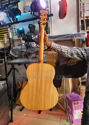 Strinberg Forest FS1A MGS Artistic Electroacoustic Guitar
