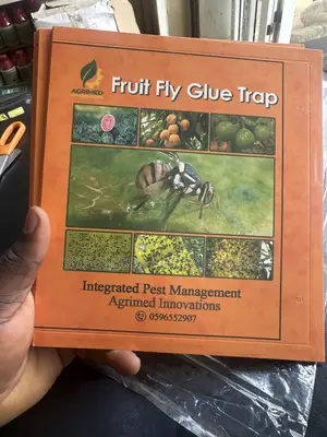 Fruit Fly Glue Trap