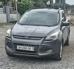 Ford Escape SE 2013 Gray